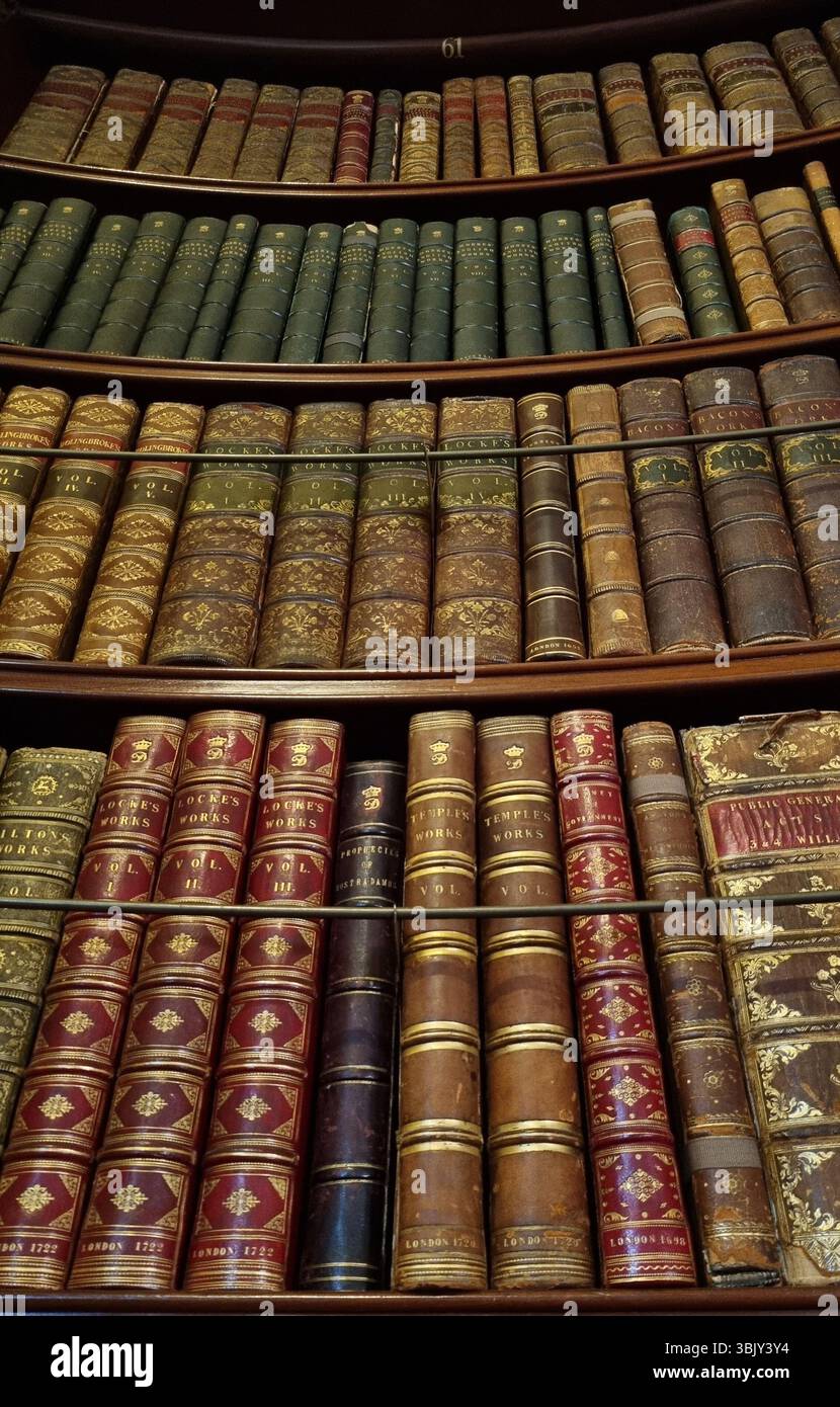 Sto cercando una libreria alta piena di vecchi libri. Foto Stock