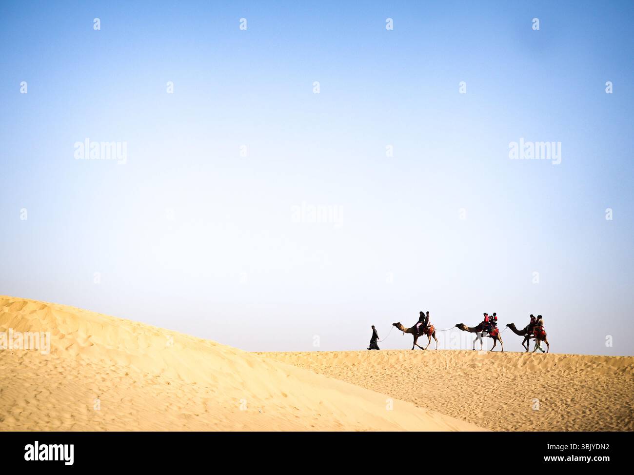 Una tradizionale carovana di cammelli viaggia attraverso le dune del deserto del Thar, in India. L'immagine cliccata alla luce del giorno riflette lo stile di vita nomade nell'India rurale Foto Stock