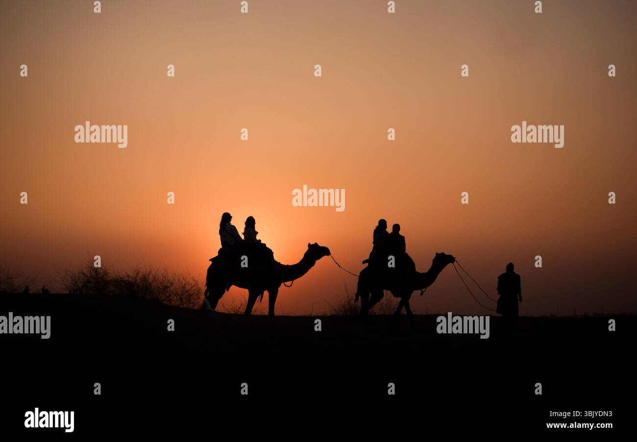 Cammelli sagomati camminano attraverso le dune al tramonto nel deserto del Thar del Rajasthan. I colori caldi e l'atmosfera serena mostrano la bellezza senza tempo del deserto. Foto Stock