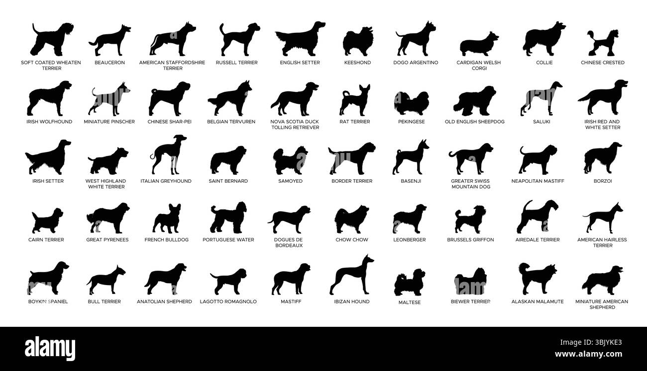 Set sagome per razze di cani 2 Illustrazione Vettoriale