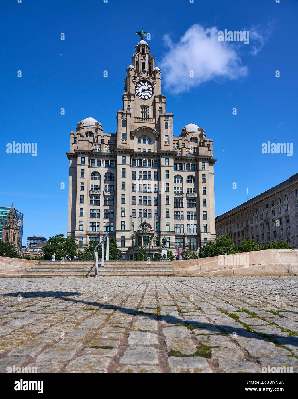 Vista del Royal Liver Building, Liverpool Foto Stock