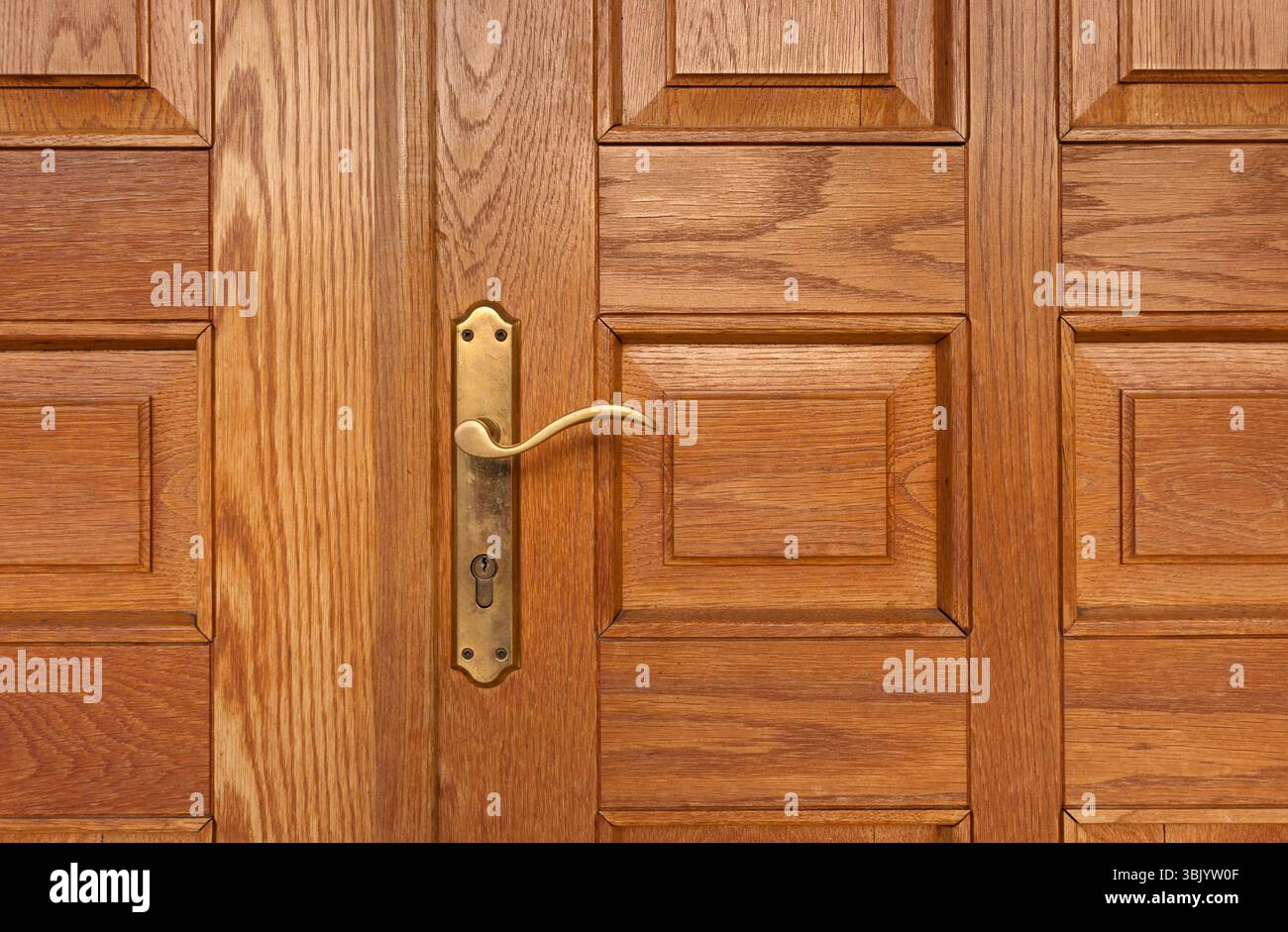 Il pomello della porta di un edificio in primo piano Foto Stock
