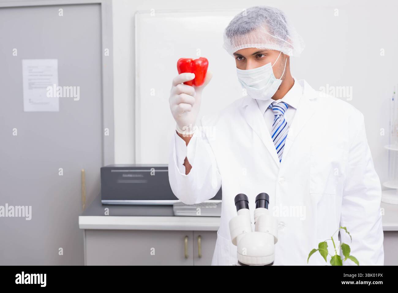 Tecnico di laboratorio maschio che indossa l'attrezzatura di sicurezza che esamina il peperone rosso al microscopio in laboratorio Foto Stock