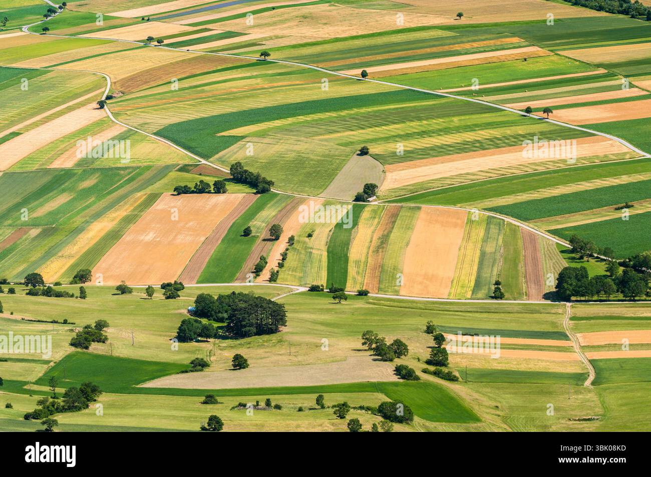 Vista aerea di molti campi in estate Foto Stock
