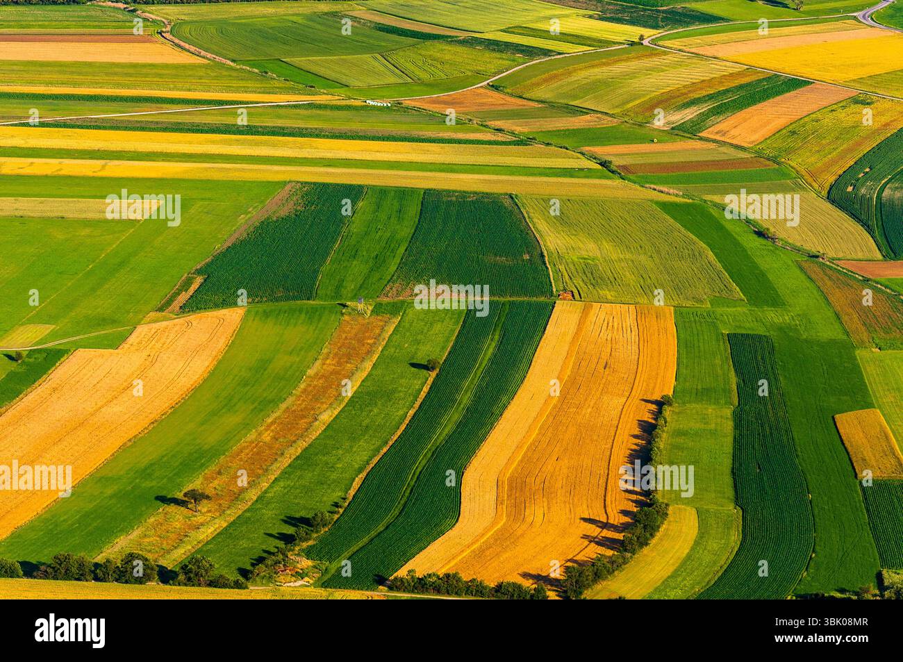 Vista aerea campo grande pronto per il raccolto Foto Stock