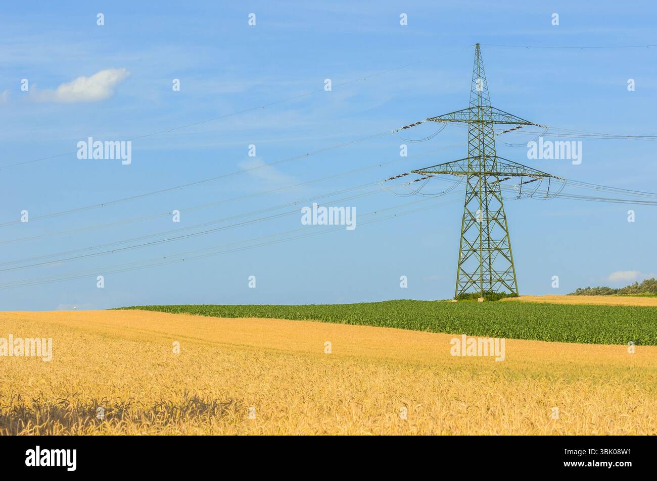 Terreni agricoli industriali prima della raccolta in colori vivaci Foto Stock