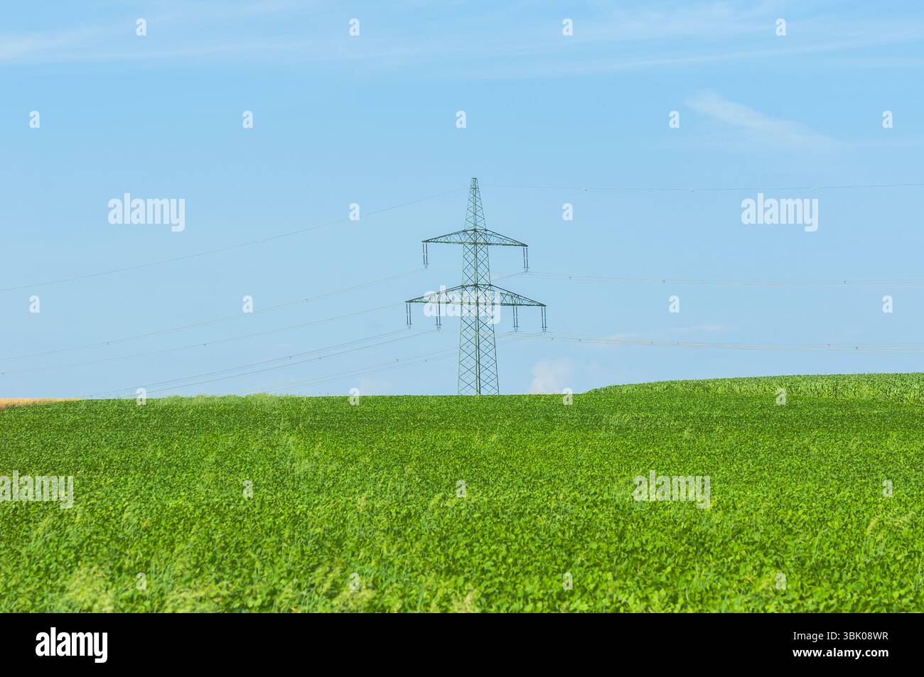Terreni agricoli industriali prima della raccolta in colori vivaci Foto Stock