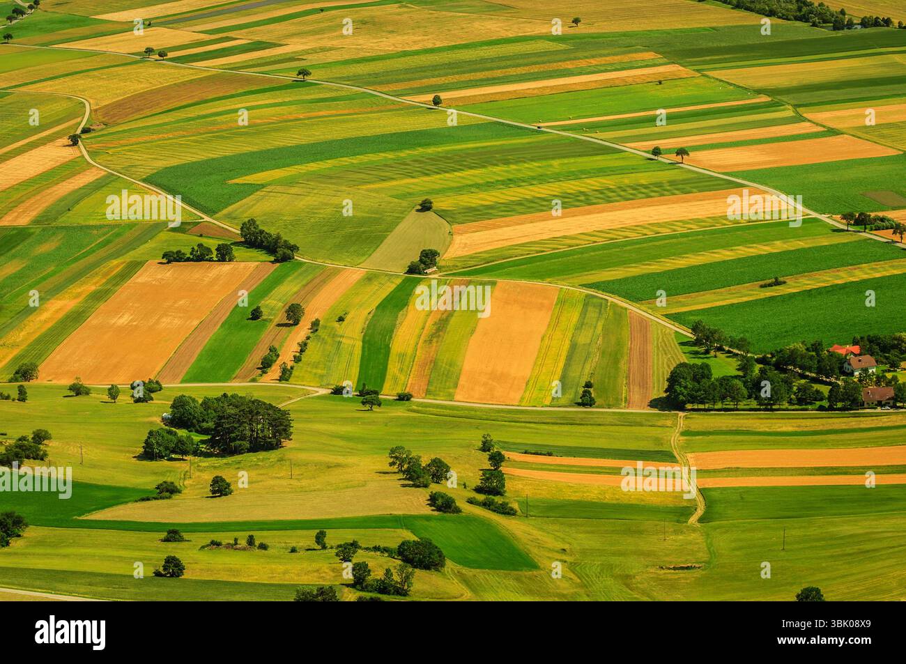 Verdi campi vista aerea prima del raccolto in estate Foto Stock