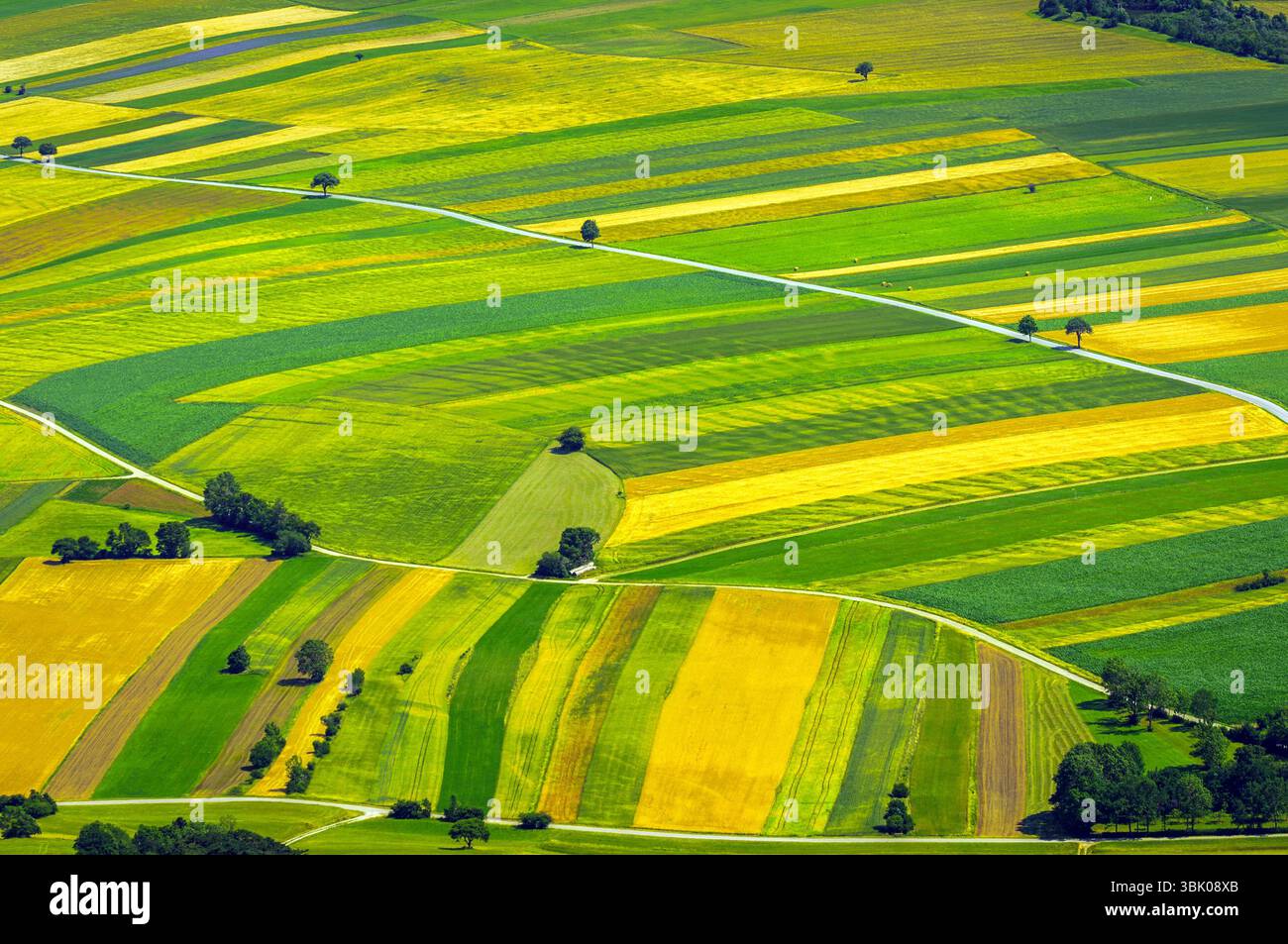 Verdi campi vista aerea prima del raccolto in estate Foto Stock