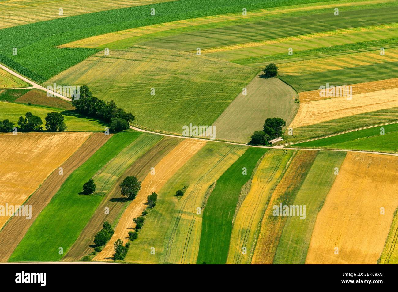 Verdi campi vista aerea prima del raccolto in estate Foto Stock