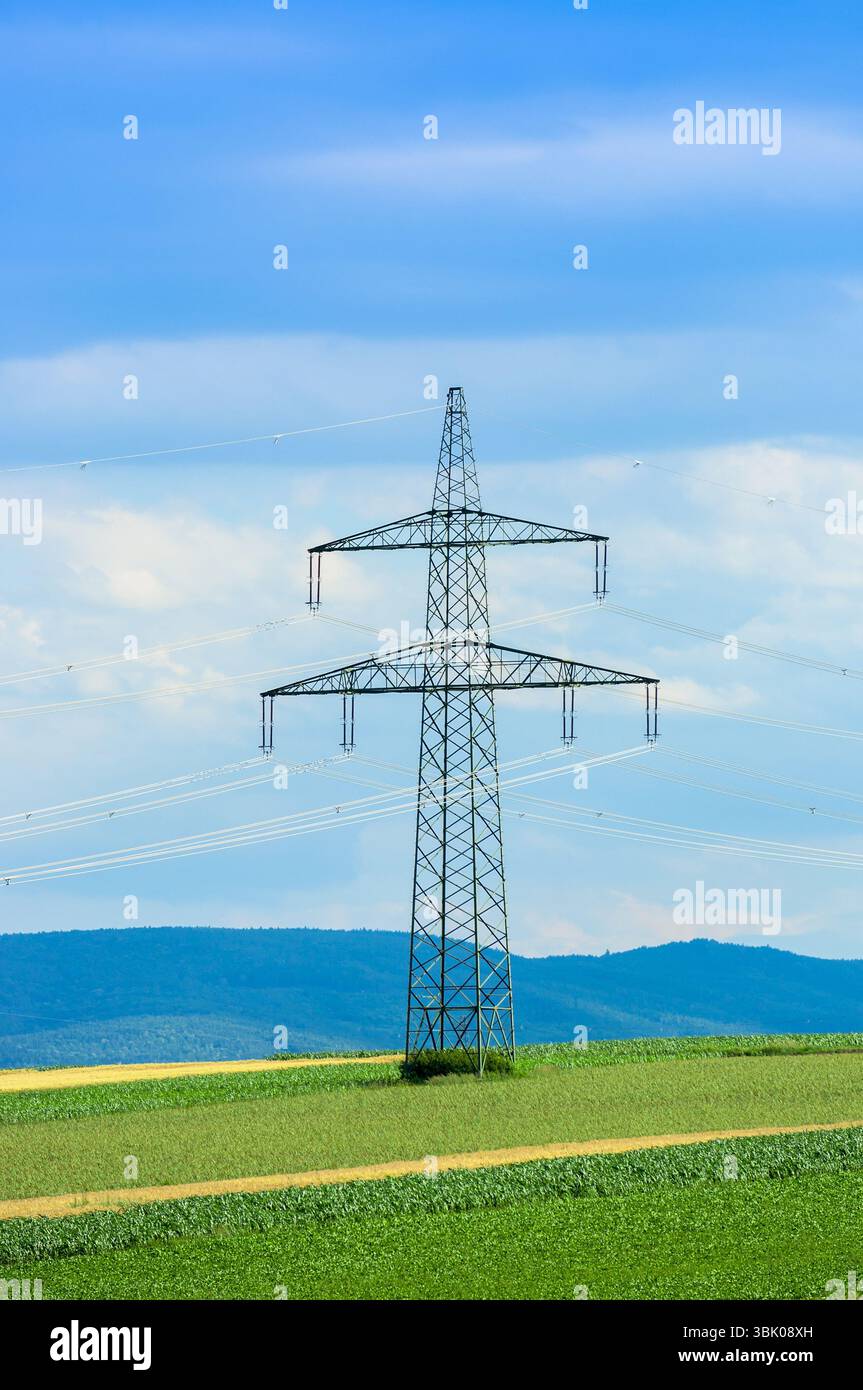 Terreni agricoli industriali prima della raccolta in colori vivaci Foto Stock