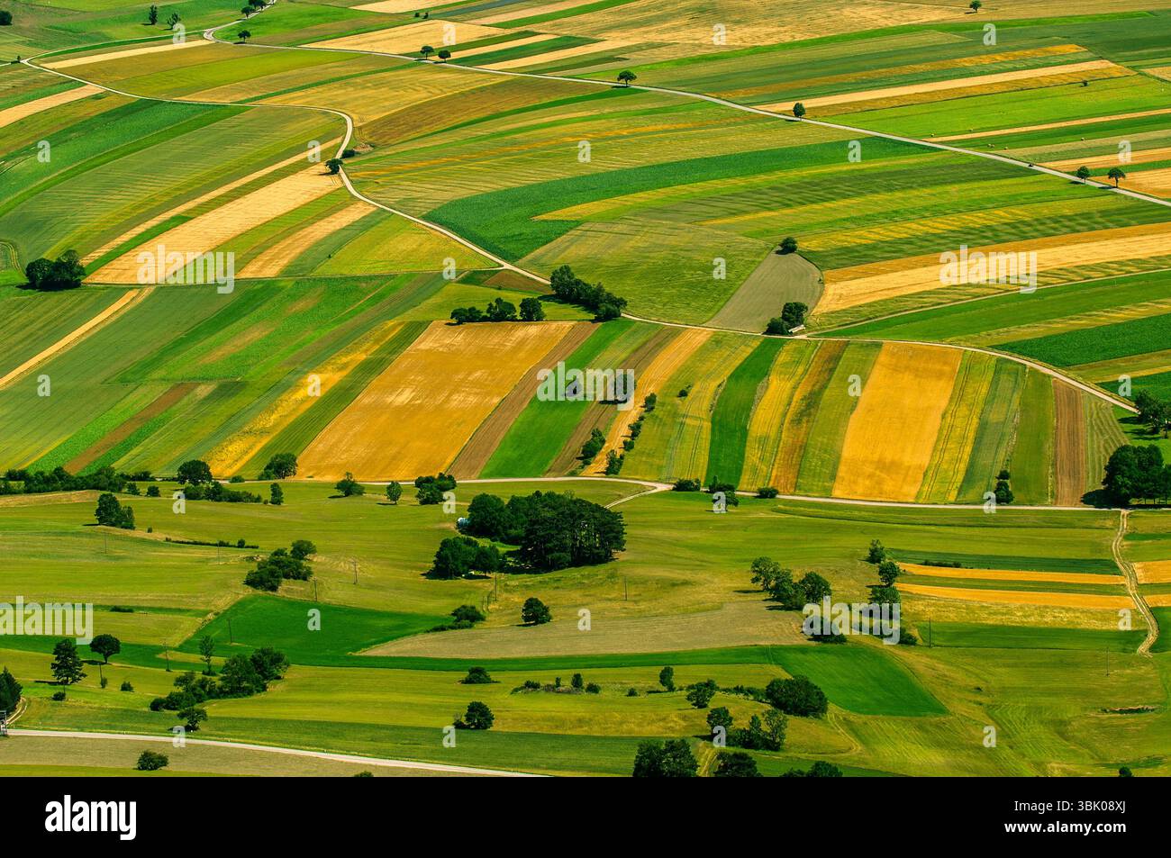 Verdi campi vista aerea prima del raccolto in estate Foto Stock