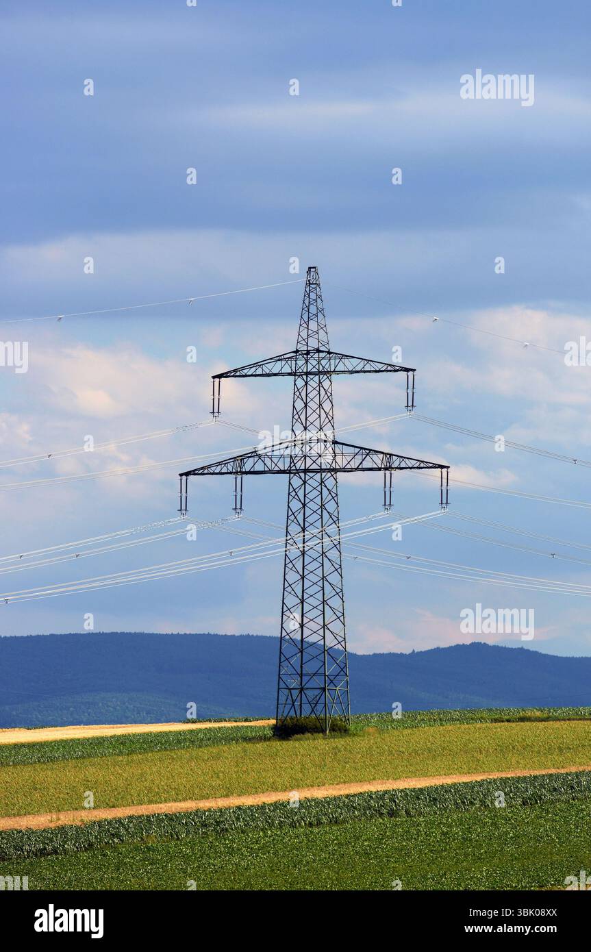 Terreni agricoli industriali prima della raccolta in colori vivaci Foto Stock