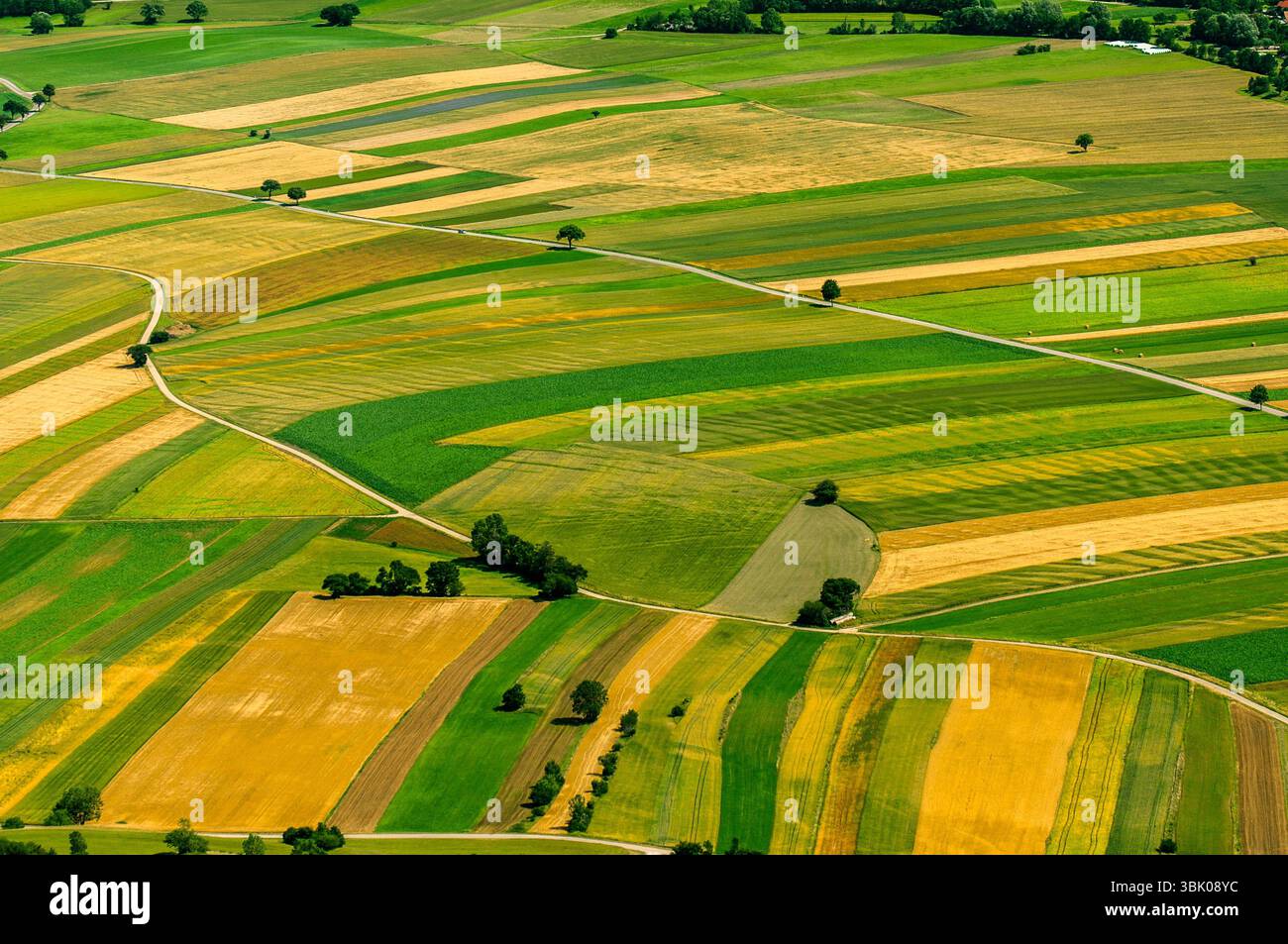 Verdi campi vista aerea prima del raccolto in estate Foto Stock