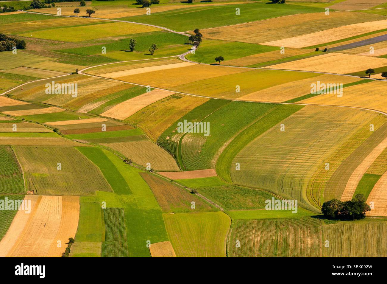 Verdi campi vista aerea prima del raccolto in estate Foto Stock