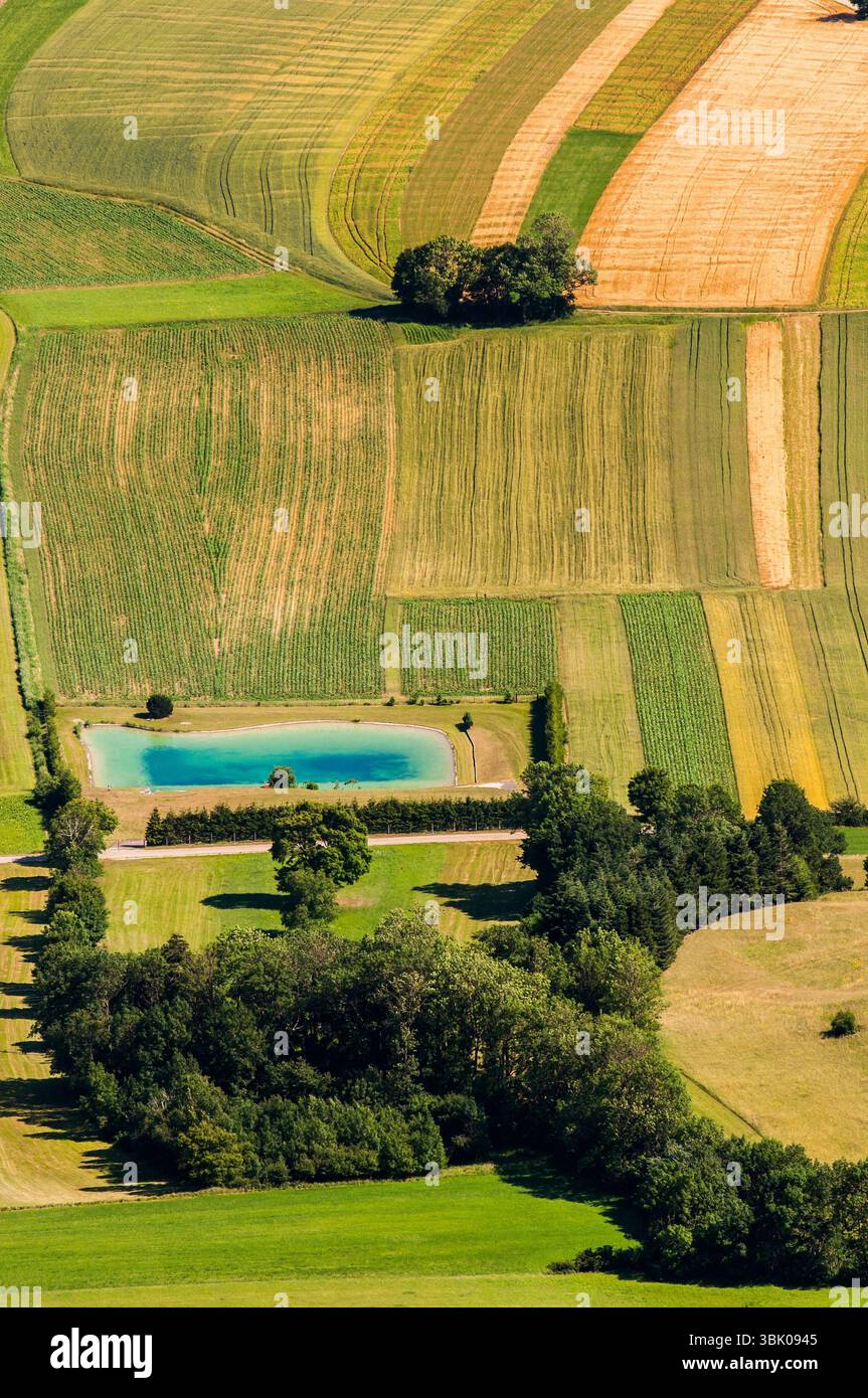 Verdi campi vista aerea prima del raccolto in estate Foto Stock