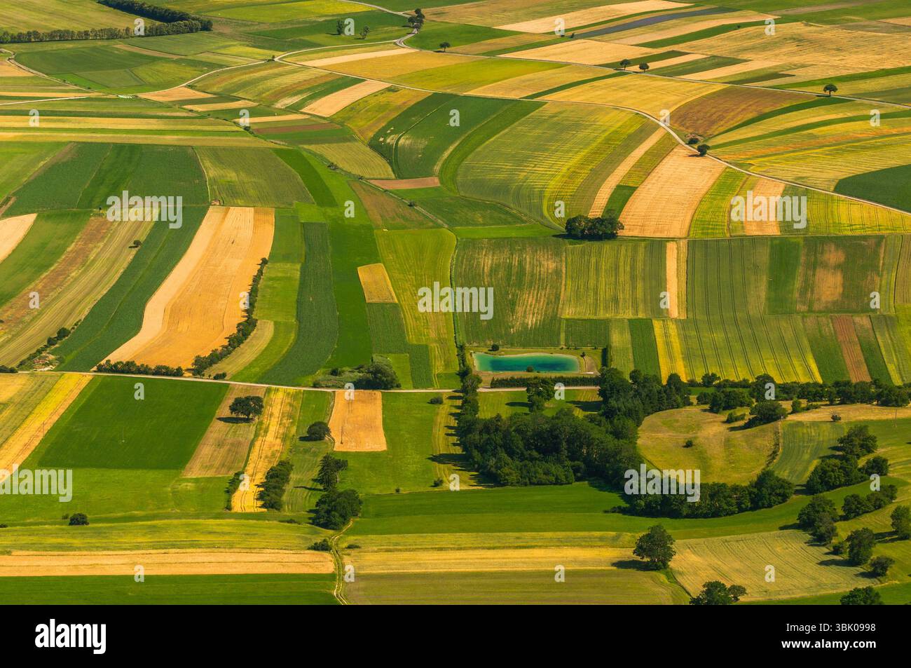 Verdi campi vista aerea prima del raccolto in estate Foto Stock