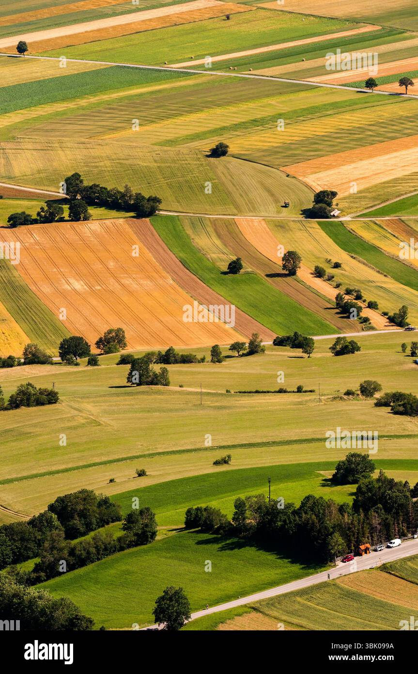 Verdi campi vista aerea prima del raccolto in estate Foto Stock