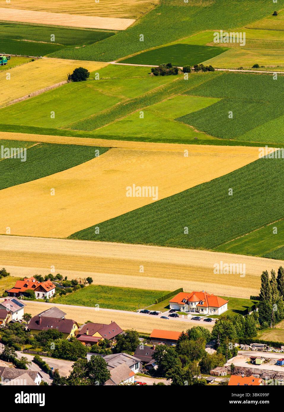 Verdi campi vista aerea prima del raccolto in estate Foto Stock