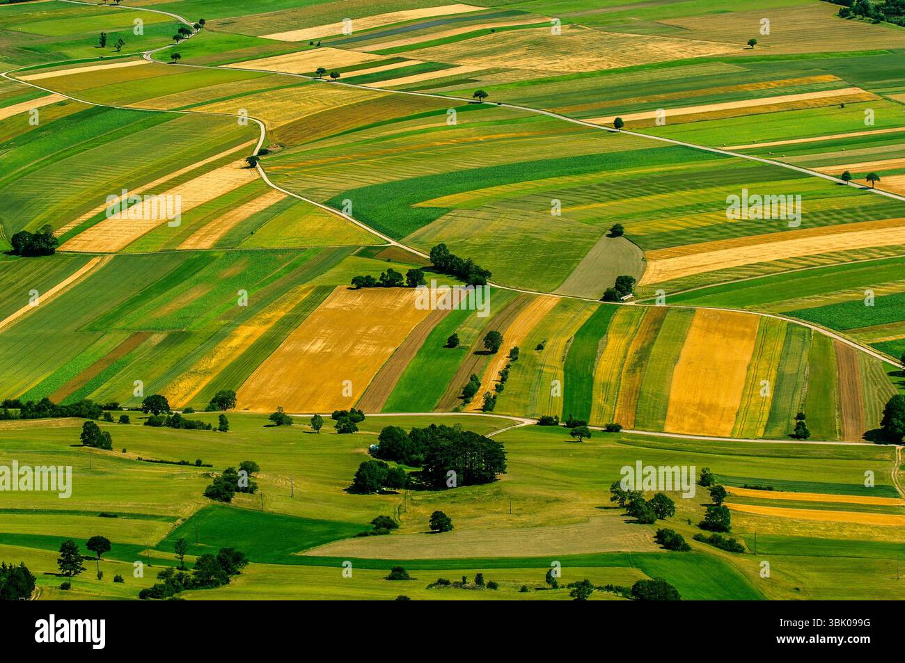 Verdi campi vista aerea prima del raccolto in estate Foto Stock