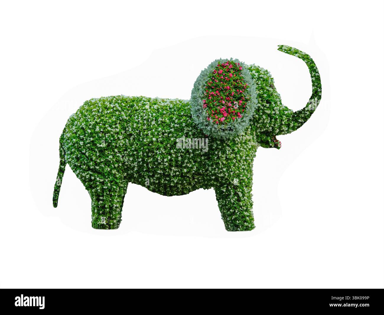 composizione di fiori sotto forma di elefante isolato su fondo bianco Foto Stock