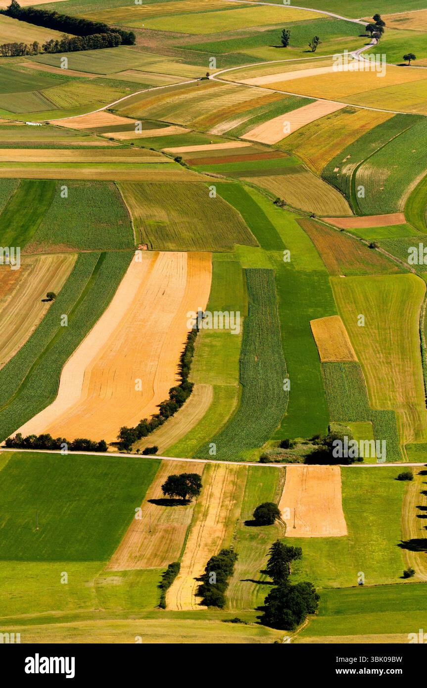 Vista aerea di Green Fields prima del raccolto Foto Stock
