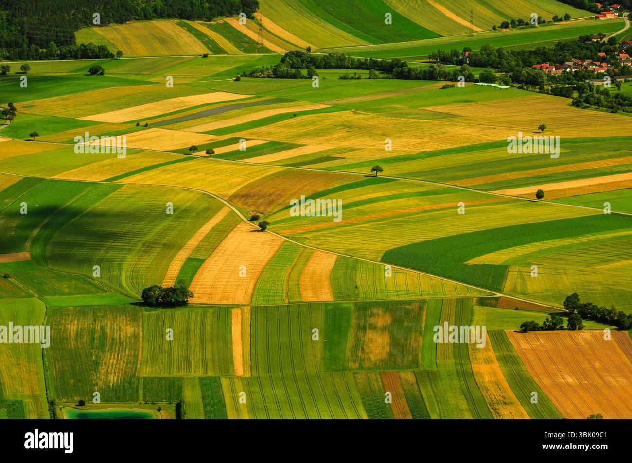 Verdi campi vista aerea prima del raccolto in estate Foto Stock