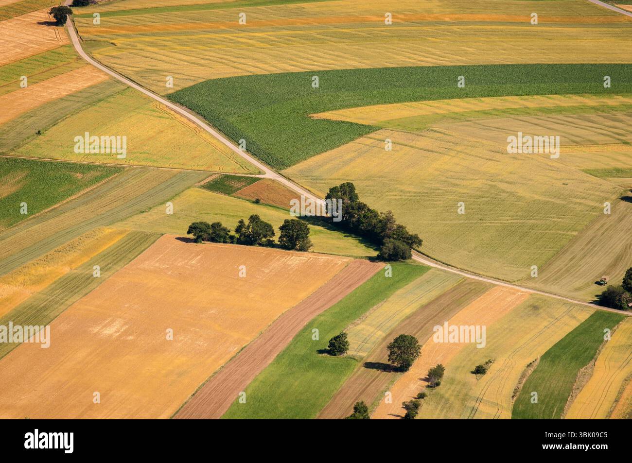Verdi campi vista aerea prima del raccolto in estate Foto Stock