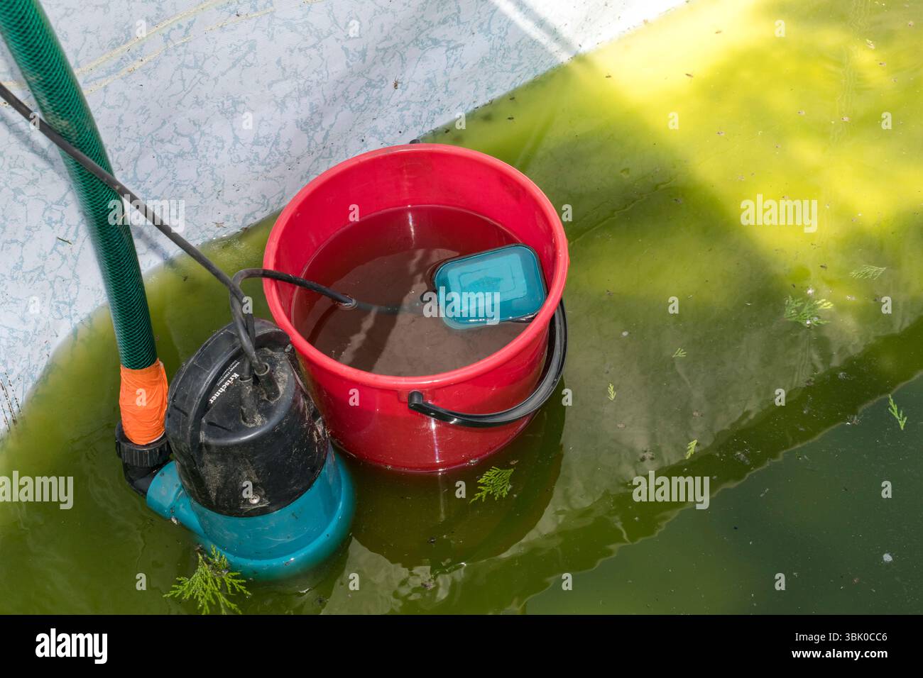Pompa e secchio immergibili nella piscina piena di alghe; rimozione dell'acqua delle alghe dalla piscina all'aperto Foto Stock