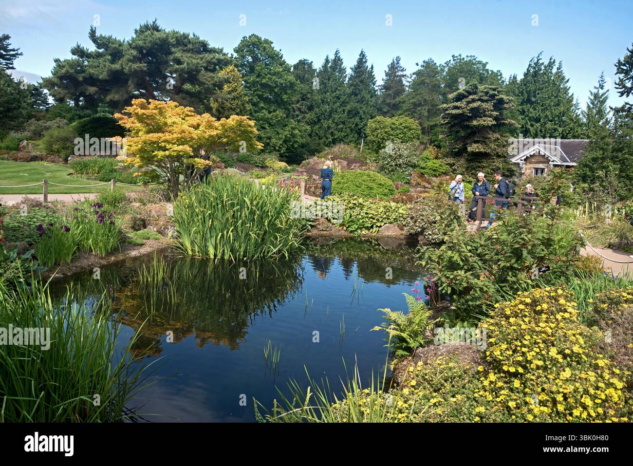 Giardino di roccia e di Caledonia Hall del Royal Botanic Garden Edinburgh (RBGE), Scotland, Regno Unito. Foto Stock