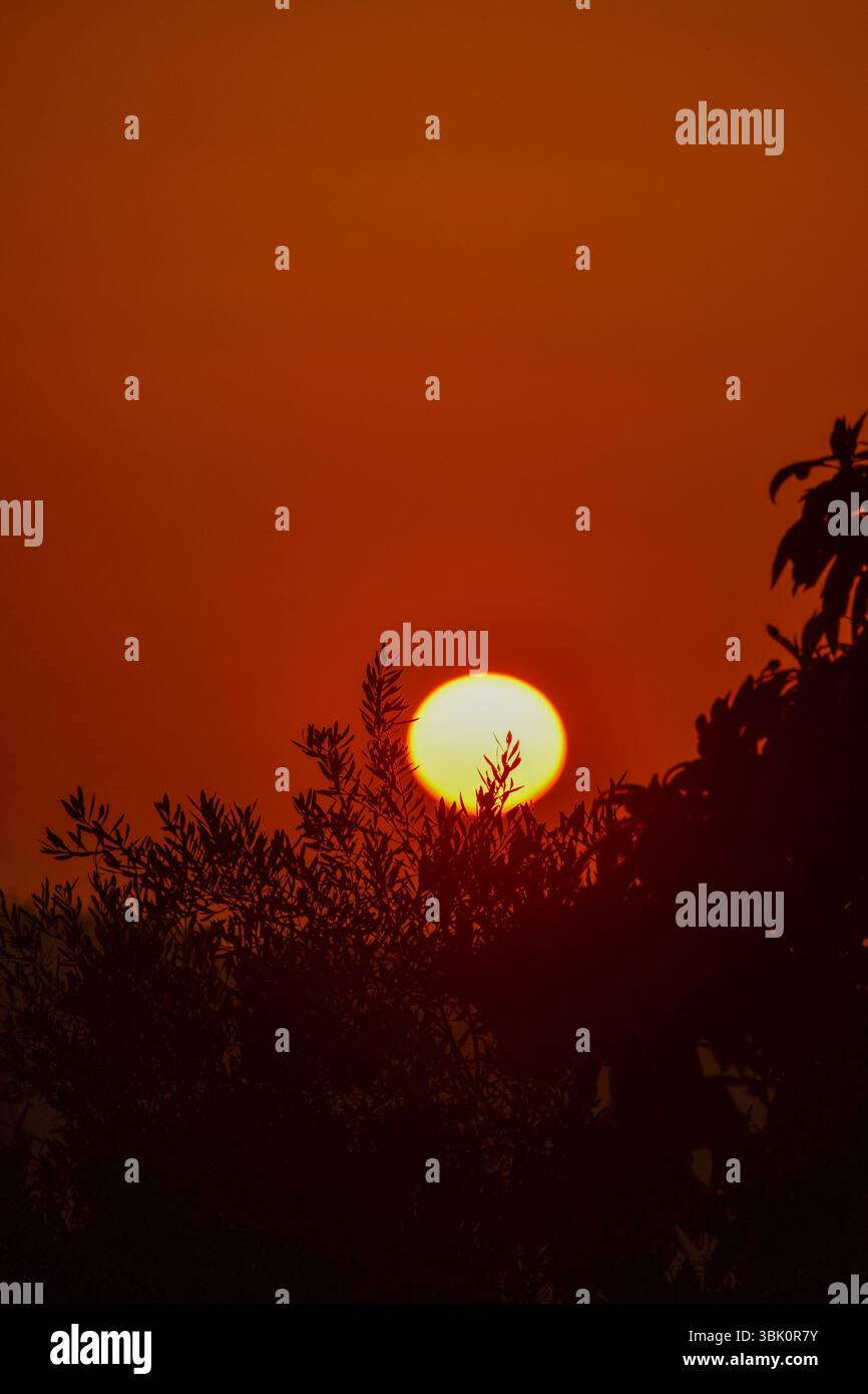 La calda luce del sole bacia l'orizzonte, dipingendo il cielo in tonalità ardenti mentre la giornata della natura termina con grazia. Foto Stock