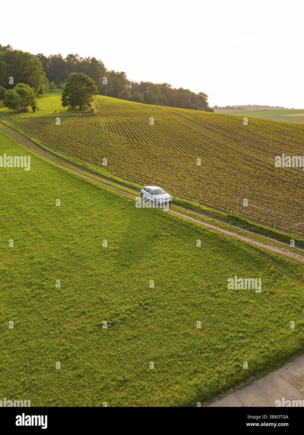 Auto che percorre una strada verde di campagna attraverso un tranquillo paesaggio rurale, Renault Megane, Deer e Carsharing, auto elettrica, Calw, Foresta Nera, Germania Foto Stock