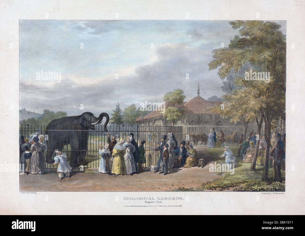 Litografia colorata a mano del giardino zoologico Regents Park London 1835 di George Johann Scharf arte antica stampa storica vintage Foto Stock