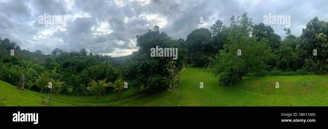 Porto Rico, filtrato da Love Foto Stock
