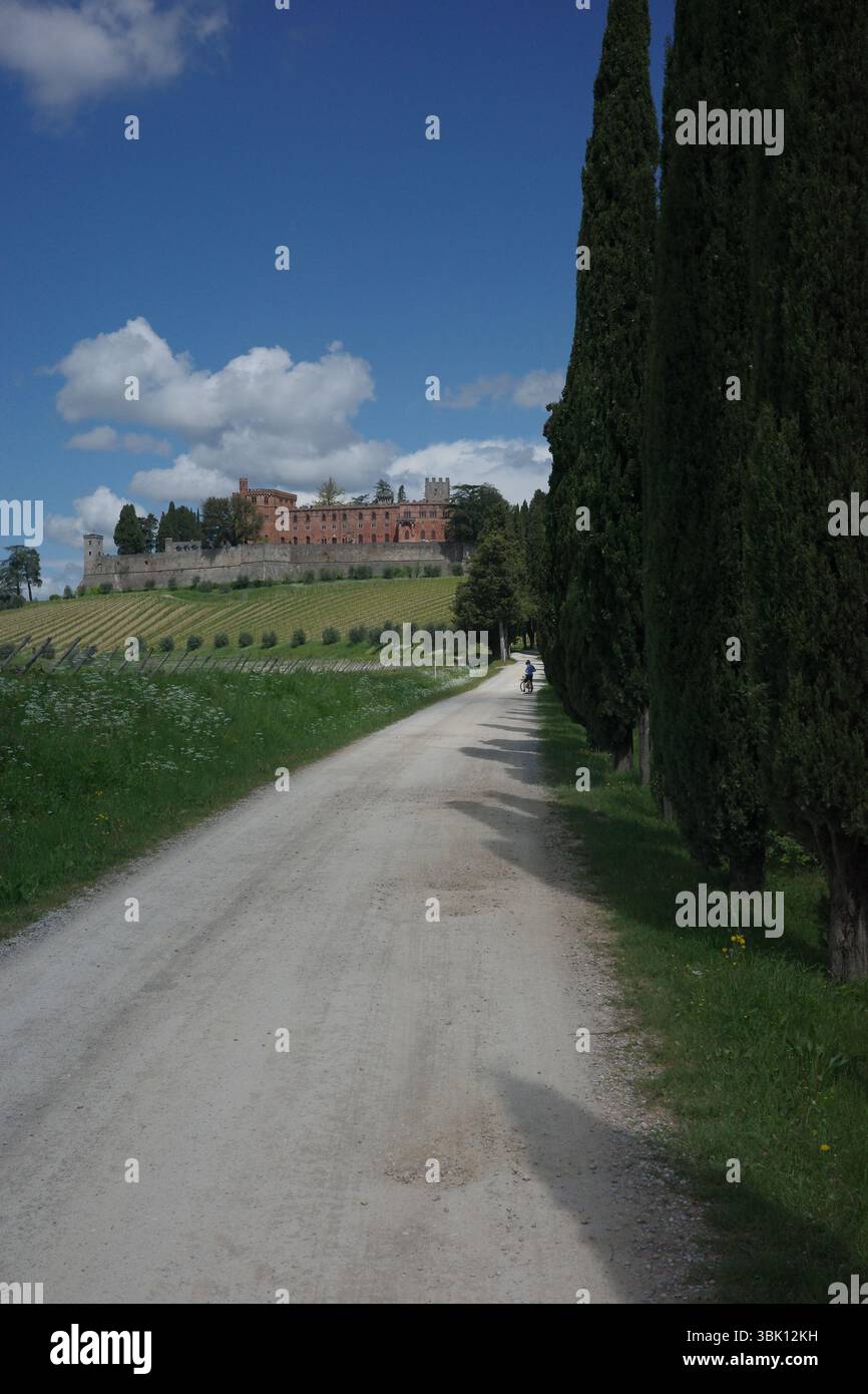 Castello toscano con cipressi che costeggiano una strada bianca di ghiaia, sotto un cielo limpido. Una classica scena rurale che cattura il fascino della campagna italiana. Foto Stock