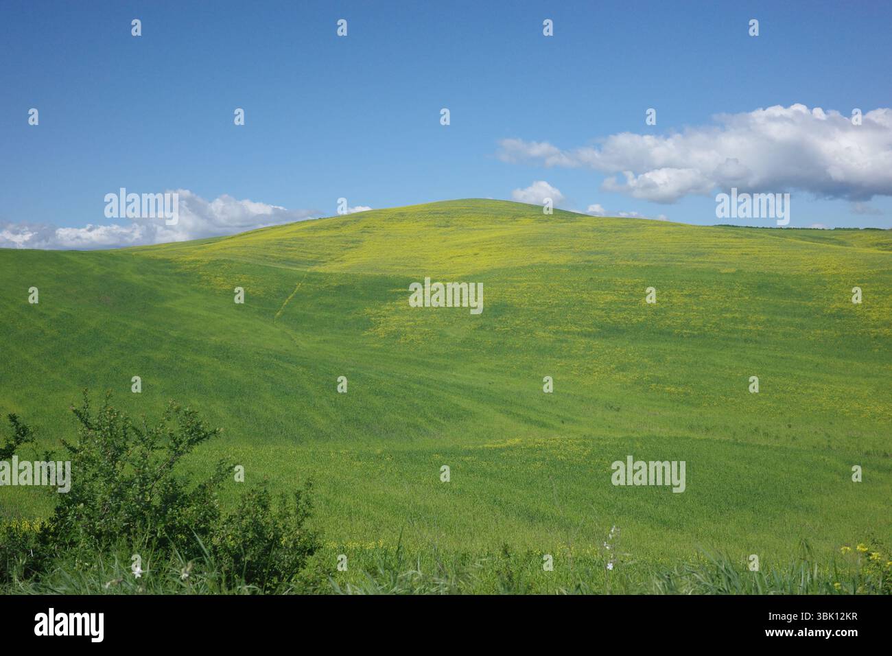 Una panoramica collina toscana catturata lungo la famosa pista ciclabile Eroica, conosciuta per le sue strade sterrate e le viste mozzafiato della campagna. Foto Stock
