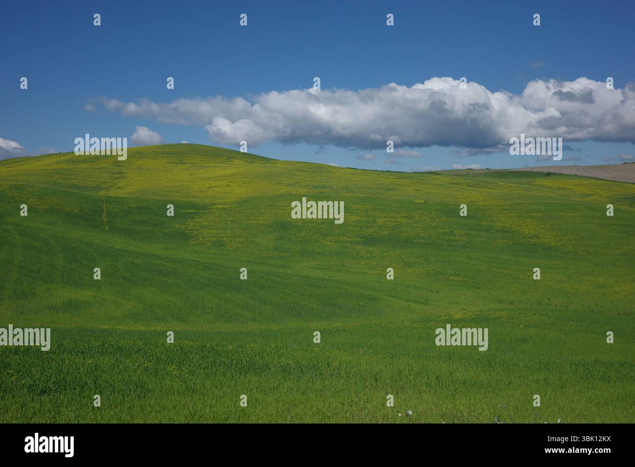 Una panoramica collina toscana catturata lungo la famosa pista ciclabile Eroica, conosciuta per le sue strade sterrate e le viste mozzafiato della campagna. Foto Stock