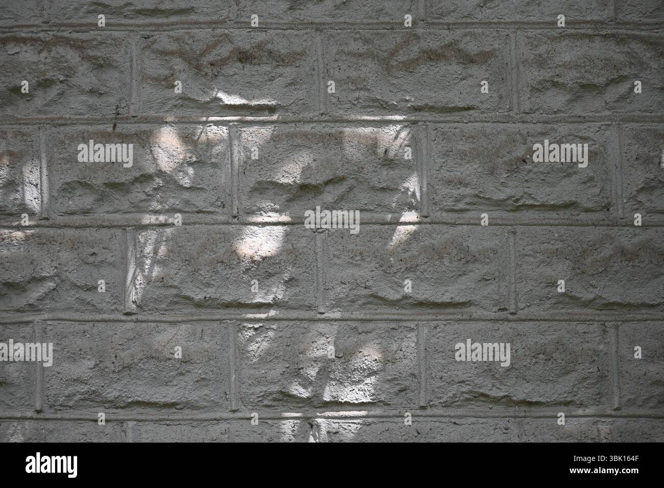 Muro di mattoni in background. Foto Stock