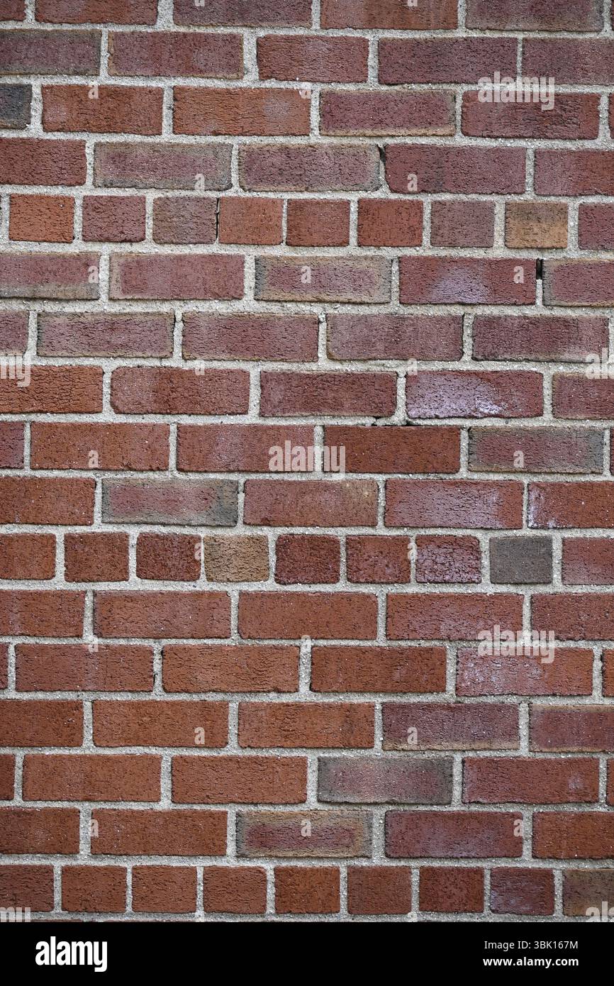 Muro di mattoni in background. Foto Stock