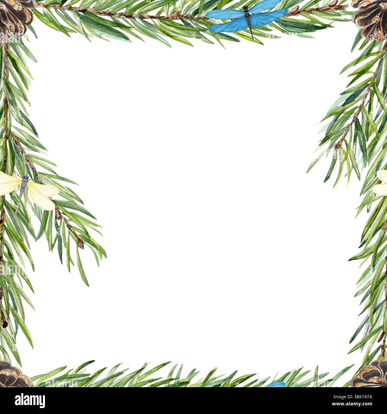 Rami di pino, coni, libellule una cornice quadrata botanica. Dipinto a mano in acquerello. Perfetto per marchi ecologici, inviti, confezioni e saluti Foto Stock