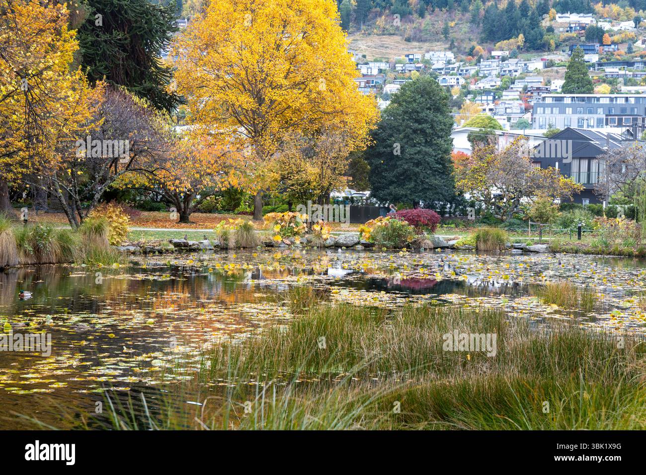 Giardini botanici di Queenstown e lago con colori autunnali nella stagione autunnale, regione di Otago, nuova Zelanda, 2025 Foto Stock