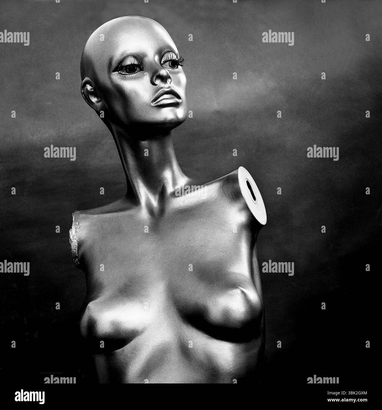 Un manichino riflettente si erge in una posizione suggestiva all'interno di uno studio, evidenziando le sue caratteristiche eleganti e la qualità scultorea Foto Stock