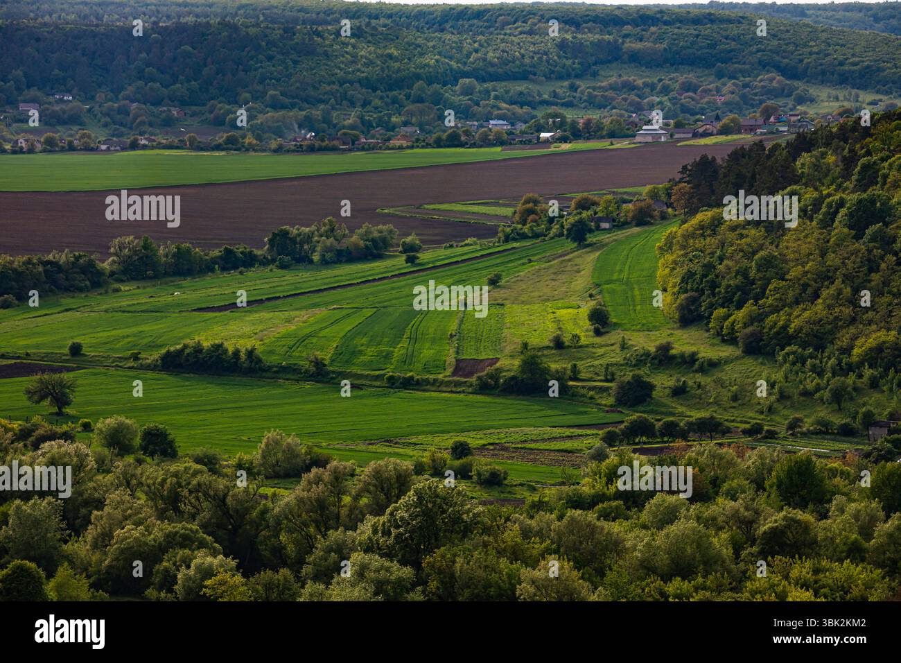Vivace paesaggio verde sotto un cielo luminoso con colline e campi ondulati nel tardo pomeriggio in una tranquilla area rurale. Foto Stock