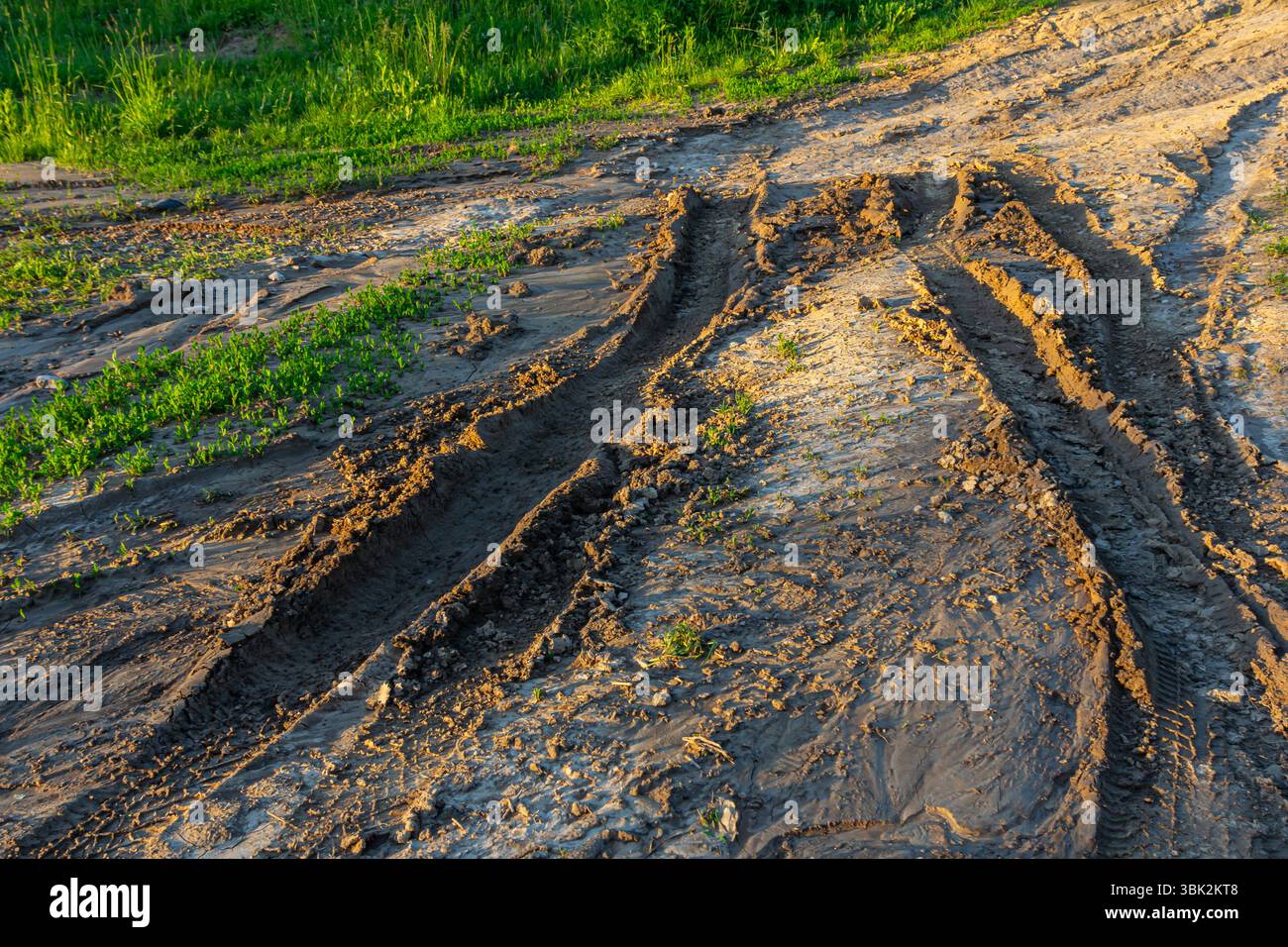 I segni degli pneumatici creano tracciati distintivi su una superficie sporca che contrastano con il verde vibrante nelle vicinanze, mentre la calda luce del sole proietta un bagliore dorato sulla lan Foto Stock