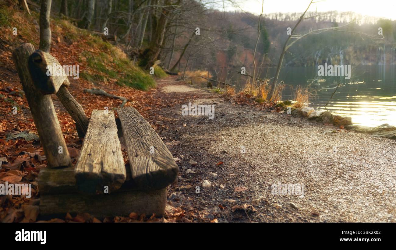 Scena tranquilla nella foto del primo piano del parco Foto Stock
