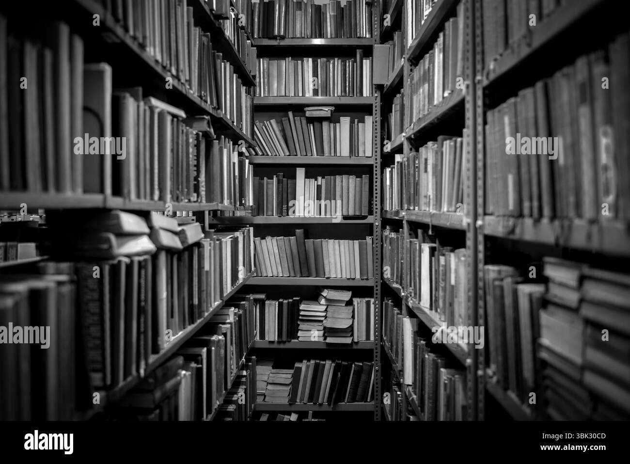 Interno della biblioteca con libri sugli scaffali Foto Stock