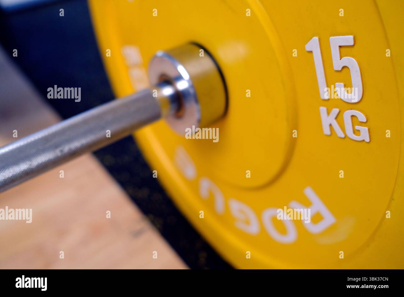 Sala fitness. 15 chili di manubrio. Foto Stock