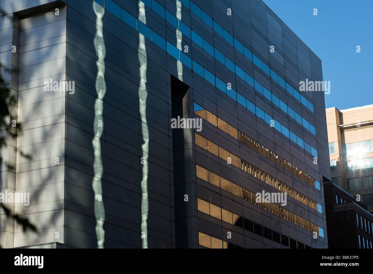 La moderna facciata di un edificio di uffici mostra pannelli metallici, finestre di vetro e ombre di alberi in stile piatto Foto Stock
