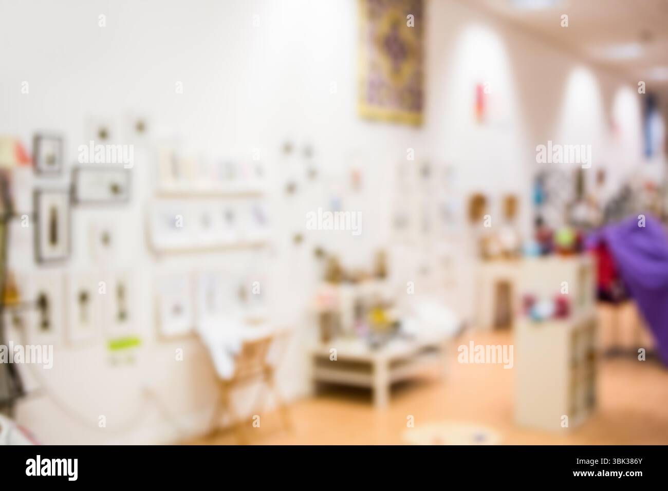 Una visitatrice femminile sta esplorando gli interni della galleria d'arte di design piatto con tavoli da esposizione e opere d'arte incorniciate Foto Stock