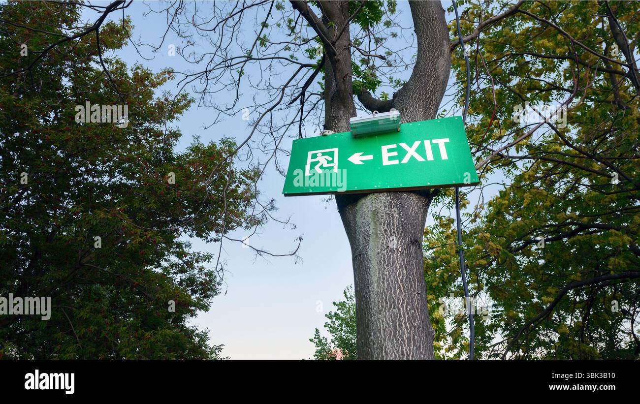 Cartello di uscita appeso all'albero all'esterno Foto Stock